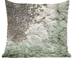 Sierkussens - Kussentjes Woonkamer - 60x60 cm - Mos - Grijs - Groen