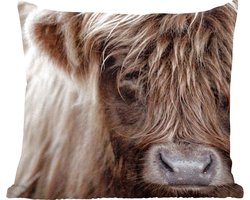 Sierkussens - Kussentjes Woonkamer - 60x60 cm - Schotse Hooglander - Schotse Koe