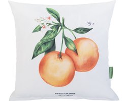 Sierkussens voor Tuin - Tuinsierkussens - Tuinstoelkussens - Bedrukte Kussens Woonkamer - Waterbestendig Tuinkussens - Binnenkussen - Buiten Kussens 45x45 cm