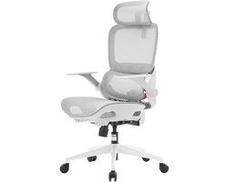SIHOO B100 Ergonomische Bureaustoel - Adaptieve Dynamische Lumbale Steun - Ademende Mesh - Ophoudbare Armsteunen - Grijs
