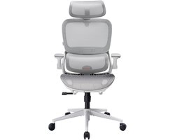 SIHOO B100 Pro Ergonomische Bureaustoel - 4D Adaptieve Dynamische Lumbale Steun - 3D Extra Brede Hoofdsteun - 4D Ophoudbare Armsteunen - Grijs
