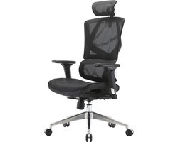 SIHOO bureaustoel bureaustoel ergonomisch, lendensteun hoge rugleuning 3D armleuningen ~ mesh zwart