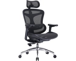 SIHOO C300L Ergonomische Bureaustoel - Beweegbare 4D Armsteunen - Dynamische Lendenondersteuning - Aanpasbare Netrug | Sterke Belasting tot 150kg voor Thuis, Kantoor en Spelgebruik