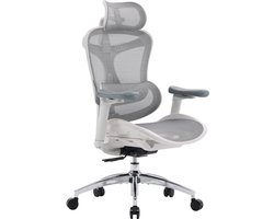 SIHOO C300L Ergonomische Bureaustoel - Met Hoofdsteun - Verstelbare Rugleuning & Lendenkussen - 4D Armleuningen - Zelfaanpassende Lendensteun - Verstelbare Hoogte - Max. 150kg - Voor Kantoor, Thuis & Gaming - Grijs