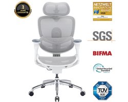 SIHOO Doro C300 Pro V2 Ergonomische bureaustoel zonder voetensteun, adaptieve ondersteuning voor het hele lichaam, 8D-armleuningen en ademend mesh, comfortabele bureaustoel met hoge rugleuning voor langdurig gebruik, 135° verstelbare rugleuning (wit)