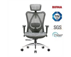 SIHOO M57 Ergonomische Bureaustoel - Verstelbare Lendensteun - 3D Armleuning - Hoogteverstelling - Bureaustoelen voor Volwassenen tot 150kg - Grijs