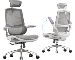 SIHOO M59AS Ergonomische Bureaustoel - 3D Opklapbare Armleuningen - Dubbel Rugleuningontwerp en Dynamische Lendensteun - Grijs