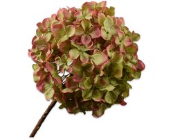 Silk-ka - Kunstbloem - hortensia - groen - H70 cm