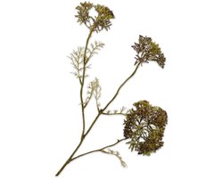 Silk-ka Kunstbloem-Zijden Bloemen Dille Tak Paars 74cm