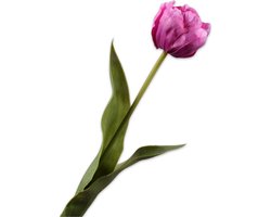 Silk-ka Kunstbloem-Zijden Bloemen Tulp Steel Paars 47 cm Per 2 Stuks