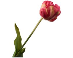 Silk-ka Kunstbloem-Zijden Bloemen Tulp Steel Paars-Roze 66 cm