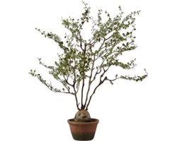 Silk-ka Kunstplant voor Binnen Muehlenbeckia Groen 66 cm