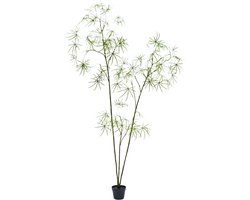 Silk-ka Kunstplant voor Binnen Schefflera Groen 223 cm