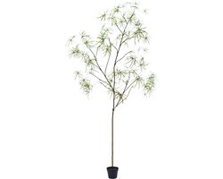 Silk-ka Kunstplant voor Binnen Schefflera Groen 240 cm