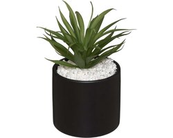 Silumen Vetplant Met Marmeren Pot - 18 cm - Kunststof