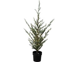 Sirius Milas Cedar 130cm Kerstboom met 150 led lampjes