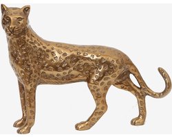 Sissy-Boy - Goudkleurige leopard