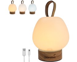 Skandika campinglamp Gnista - oplaadbare LED-lamp, 180 - 210 lumen, met USB Type-C laadkabel, 2000 mAh, 3 lichtkleuren, traploos dimbaar, ophangbaar | Lantaarn voor camping, outdoor, wandelen