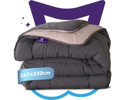 Slaapspeciaal All year dekbed enkel - eazydekbed ® Series Antraciet/Creme - Dekbed zonder overtrek | 240x220 cm - Hoesloos dekbed - Bedrukt dekbed zonder overtrek - Dekbed in kleur - Gekleurd dekbed - Lits Jumeaux Dekbed