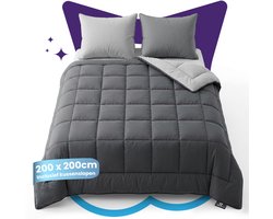 Slaapspeciaal Eazydekbed Supersoft Grijs/Antraciet - Dekbed zonder Overtrek - Wasbaar Dekbed - Hoesloos Dekbed - All Year Dekbed - 2 in 1 Dekbed - Incl. 2 Kussenslopen - 200x200 cm