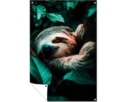 Slapende luiaard in dichte jungle - Sloth posters - Tuinkunst dieren - Hyperrealisme - Balkon decoratie - Buitenkunst - Tuinposter 40x60 cm