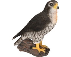 Slechtvalk roofvogel dieren beeldje - 26 cm - Tuin decoratie/woonaccessoires - Dieren/vogel beelden