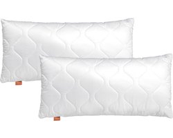 sleepling 40x80 cm kussen set van 2 Komfort 100 | hoes van 100% microvezel | vulling van 100% polyester | Ökotex | Made in EU | hoofdkussen wasbaar tot 60 graden