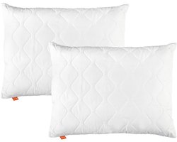 sleepling 70x90 cm kussen set van 2 Basic 100 | hoes van 100% microvezel | vulling van 100% polyester | Ökotex | Made in EU | hoofdkussen wasbaar tot 60 graden