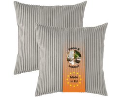 sleepling sierkussenset van 2 - 40x40 cm kussen – bankkussen van robuuste meubelstof - incl. hoes en vulling - als decoratiekussen, sierkussen of couchkussen - kussenset - Made in EU - 40 x 40 cm - cord - steengrijs