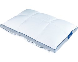 Sleepy Hybrid Kussen