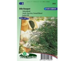 Sluis Garden - Dille Bouquet (Anethum graveolens)