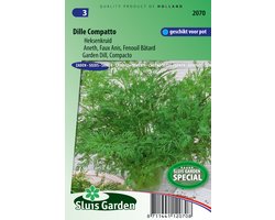 Sluis Garden - Dille Compatto (Anethum graveolens)
