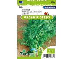 Sluis Garden - Dille, Heksenkruid BIO