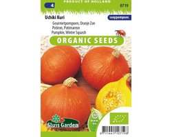 Sluis Garden - Pompoen Uchiki Kuri (Oranje Zon) Biologisch