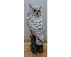 Sneeuwuil Beeld - 52cm hoog - polyresin - polystone - Sneeuw - Uil - Decoratie - Woonaccessoires - Beeld