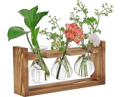 SnelShoppen - 4-delige decoratieve tafeldecoratie voor woonkamer en kantoor met houten standaard, 3 planten, terrarium, vervangbare waterververser, hy