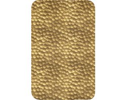 SnelShoppen - Badmat Rechthoekig 50x80cm Antislip Badkamer Douchematt Non-Slip Toilet Badmat Geheugenfoam Wasbare Badkamer Toiletmat Wasbaar Metaal -