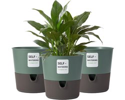 SnelShoppen - Bamworld Bloempot Set - Zelfbewaterende Hydrocultuurpotten voor Kruiden - Modern Design - Ø 16,5 cm - 3 Stuks - Groen voor Keuken en Ven