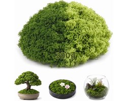 SnelShoppen - Kunstmos Deco Mos 200g - Donkergroen & Lichtgroen - Plantenbekleding, Wandsieraden, Aquarium Decoratie, Modelbouw, Tuinaccessoires