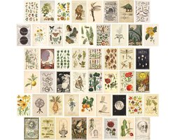 SnelShoppen - Set van 50 Aesthetic Postcards voor Wanddecoratie, Collage Set met 300 g/m² Kaartjes, Perfect voor Creatieve Decoratie en Feesten