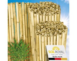 Sol Royal B99 – Premium Bamboe Tuinscherm 100x250 cm Helder Glanzend – Geharde Bamboestokken Ø 2-3cm – Weerbestendige Bamboe Balkonscherm