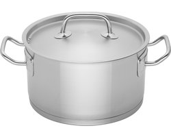 Sola Profiline Deluxe Kookpannen - Ø 20 cm RVS Kookpan Inductie - Geschikt voor Elke Warmtebron - Zilver - Sandwichbodem