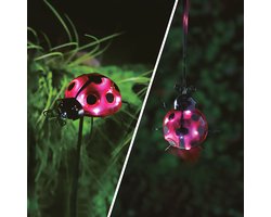 Solar Lantaarn Lieveheersbeestje – Met Grondspies / Clip – 6 LED’s – Koel Wit – Rood – 15 X 7 X 16 Cm – Op Zonne-Energie – Automatisch Aan Bij Schemer – Decoratieve Tuinverlichting [11771A]