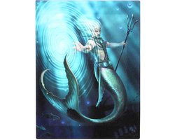 Something Different - 19x25cm Water Element Wizard Canvas afbeelding - Multicolours