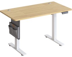 SONGMICS - In Hoogte Zit Sta Bureau - 120 x 60 cm - Met Memoryfunctie en USB-C Poort
