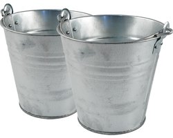 Sorex zinken emmer/bloempot/plantenpot - 2x - 10 liter - Tuindecoratie - Bloememmer/bloembak/plantenbak - Decoratie emmer