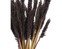 Sorghum Grasbossen - Kleur Zwart - 6 stuks 50 cm - Decoratie Woonkamer - Slaapkamer - Keuken