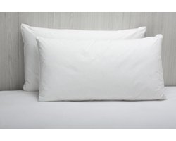 Spaans kussen Dons Medium | Pikolin Pluma Premium 75 x 40 cm