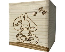 Spaarpot - Nijntje - Nijntje speelgoed - Spaarvarken - Spaarpotten - Spaarpot kind - Spaarpot jongen - Spaarpot meisje - Spaarpot baby - Geldkluis - Kluis - Kluis met sleutel - Sinterklaas cadeautjes - Kerstcadeau - Sinterklaas cadeautjes kind