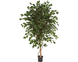 Spathiphyllum in zeegras mand | Lepelplant